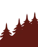 tree background image