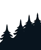 tree background image