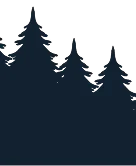 tree background image